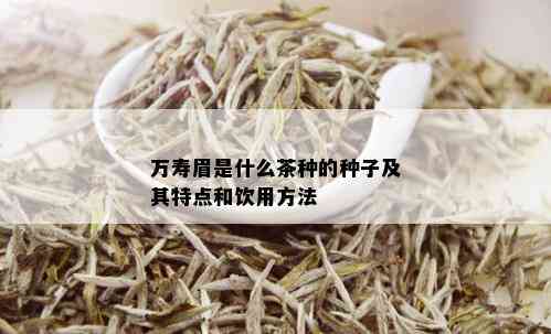 万寿眉是什么茶种的种子及其特点和饮用方法