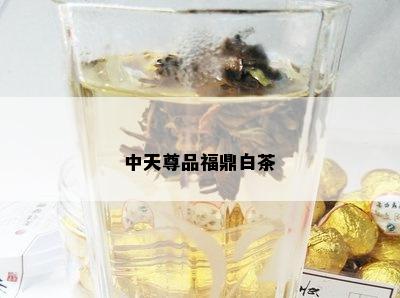 中天尊品福鼎白茶