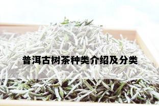 普洱古树茶种类介绍及分类