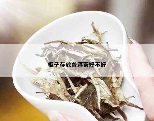 柜子存放普洱茶好不好