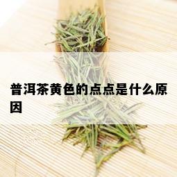 普洱茶黄色的点点是什么原因