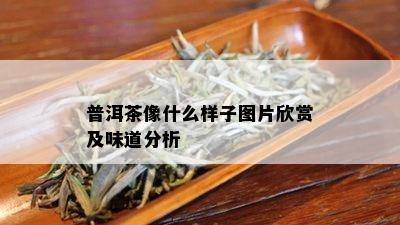 普洱茶像什么样子图片欣赏及味道分析