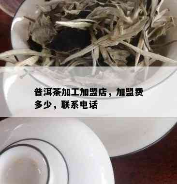 普洱茶加工加盟店，加盟费多少，联系电话