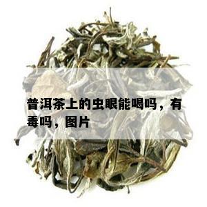 普洱茶上的虫眼能喝吗，有吗，图片