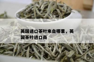 英国进口茶叶来自哪里，英国茶叶进口商