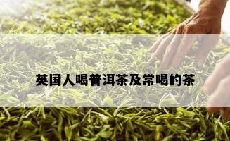 英国人喝普洱茶及常喝的茶