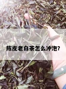 陈皮老白茶怎么冲泡？