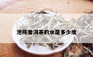 泡陈普洱茶的水是多少度