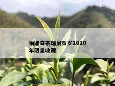 福鼎白茶瑞鼠贺岁2020年 *** 收藏