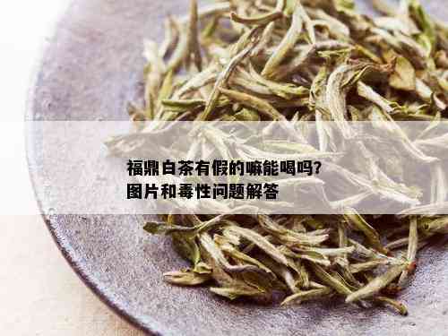 福鼎白茶有假的嘛能喝吗？图片和性问题解答