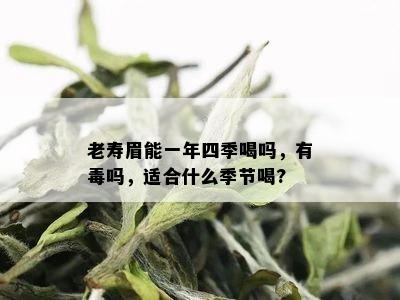 老寿眉能一年四季喝吗，有吗，适合什么季节喝?