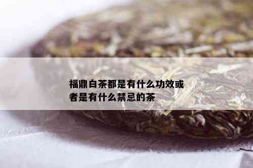 福鼎白茶都是有什么功效或者是有什么禁忌的茶