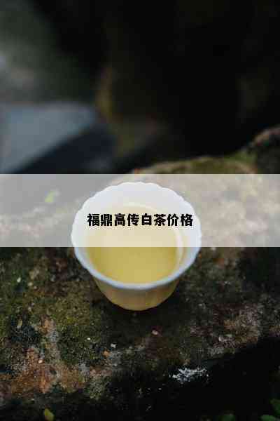 福鼎高传白茶价格