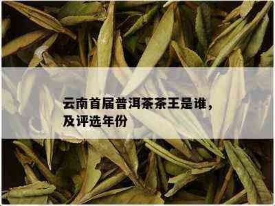 云南首届普洱茶茶王是谁，及评选年份