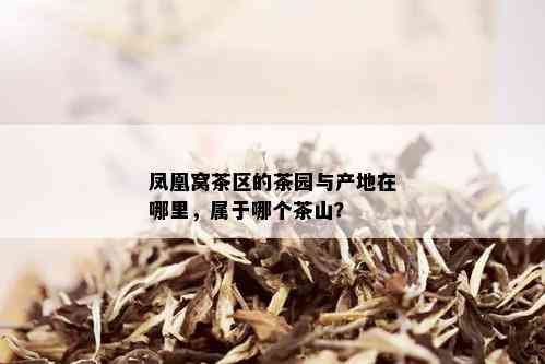 凤凰窝茶区的茶园与产地在哪里，属于哪个茶山？