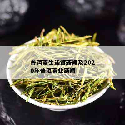 普洱茶生活馆新闻及2020年普洱茶业新闻