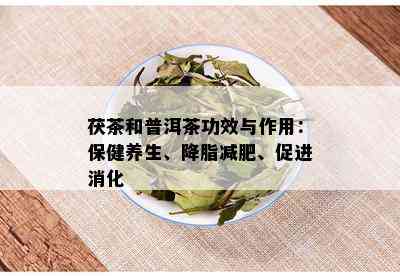 茯茶和普洱茶功效与作用：保健养生、降脂减肥、促进消化