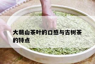 大朝山茶叶的口感与古树茶的特点