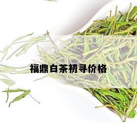 福鼎白茶初寻价格