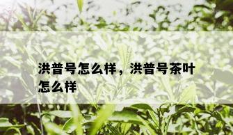 洪普号怎么样，洪普号茶叶怎么样