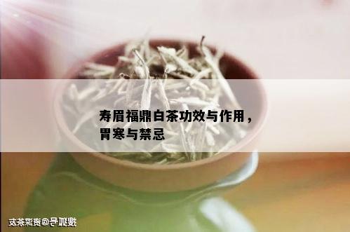 寿眉福鼎白茶功效与作用，胃寒与禁忌