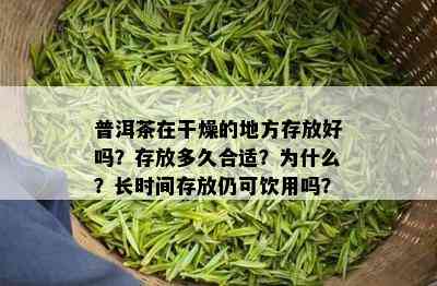 普洱茶在干燥的地方存放好吗？存放多久合适？为什么？长时间存放仍可饮用吗？