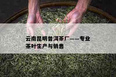 云南昆明普洱茶厂——专业茶叶生产与销售