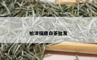 柏洋福鼎白茶批发