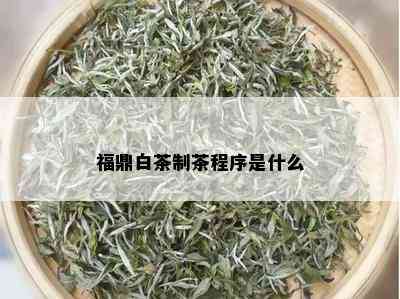 福鼎白茶制茶程序是什么