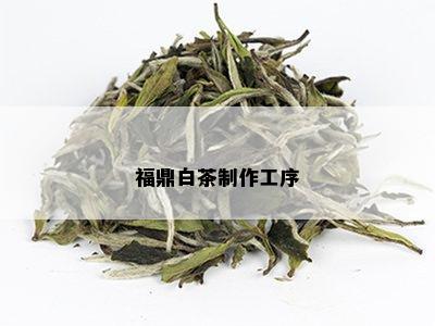 福鼎白茶制作工序