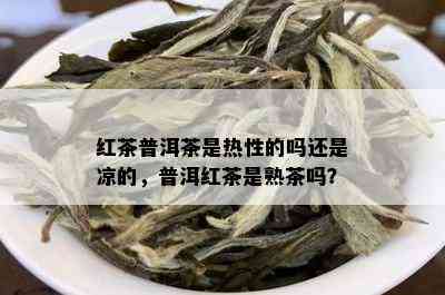 红茶普洱茶是热性的吗还是凉的，普洱红茶是熟茶吗？