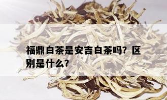 福鼎白茶是安吉白茶吗？区别是什么？