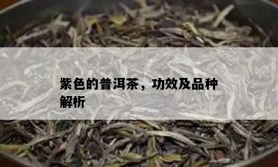 紫色的普洱茶，功效及品种解析