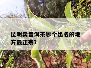 昆明卖普洱茶哪个出名的地方最正宗？