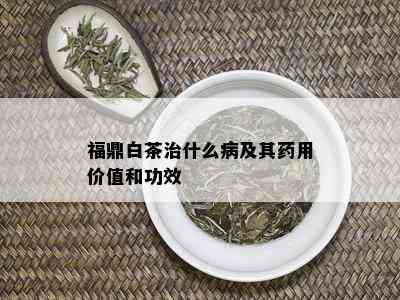 福鼎白茶治什么病及其药用价值和功效