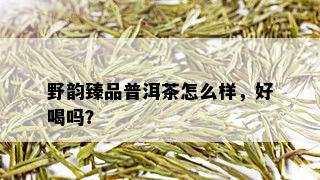 野韵臻品普洱茶怎么样，好喝吗？