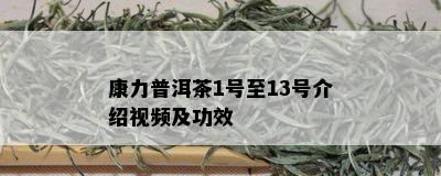 康力普洱茶1号至13号介绍视频及功效