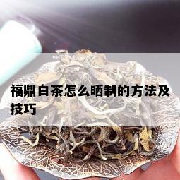 福鼎白茶怎么晒制的方法及技巧