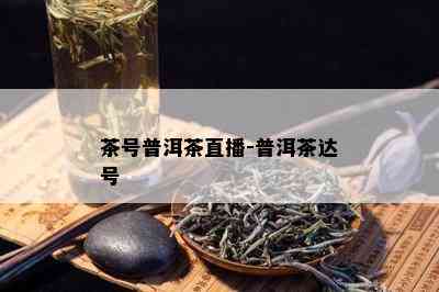 茶号普洱茶直播-普洱茶达号