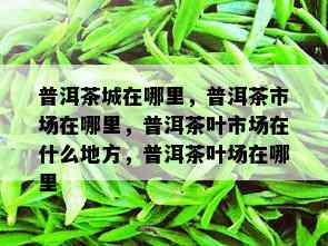 普洱茶城在哪里，普洱茶市场在哪里，普洱茶叶市场在什么地方，普洱茶叶场在哪里