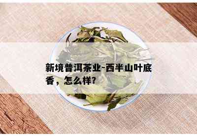 新境普洱茶业-西半山叶底香，怎么样？