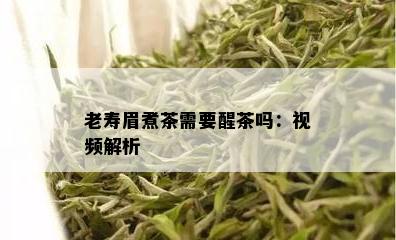 老寿眉煮茶需要醒茶吗：视频解析