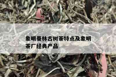 象明曼林古树茶特点及象明茶厂经典产品