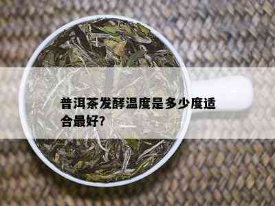 普洱茶发酵温度是多少度适合更好？