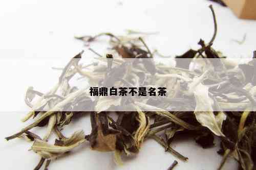 福鼎白茶不是名茶