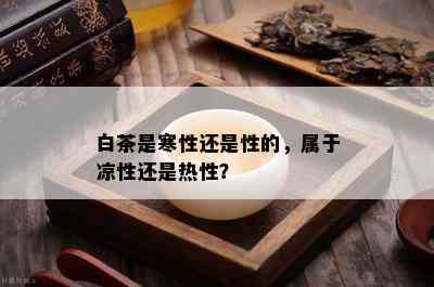 白茶是寒性还是性的，属于凉性还是热性？