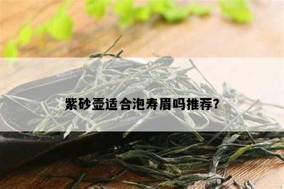 紫砂壶适合泡寿眉吗推荐？