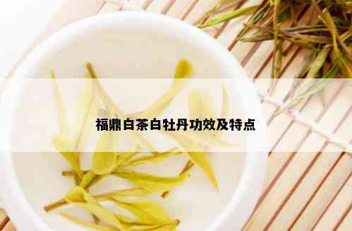 福鼎白茶白牡丹功效及特点