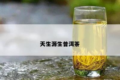 天生源生普洱茶