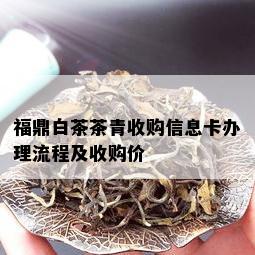 福鼎白茶茶青收购信息卡办理流程及收购价